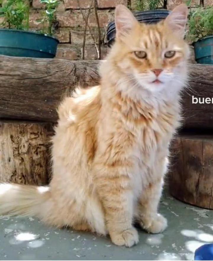 B&B Garden Atelier La Cumbre Dış mekan fotoğraf